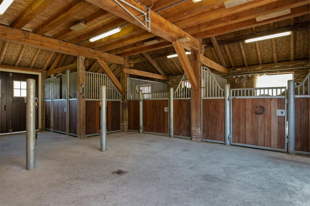 Photo 22 of De Wildkampen 7