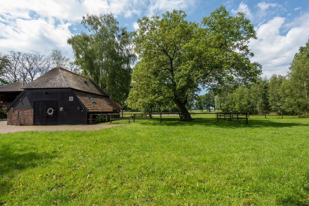 Photo 26 of De Wildkampen 7