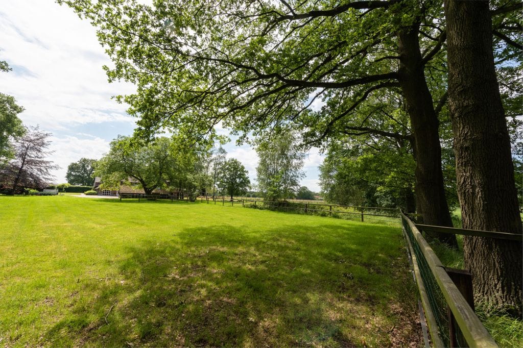 Photo 28 of De Wildkampen 7