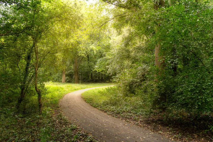 Bekijk foto 30 van Hoofdweg 142-3