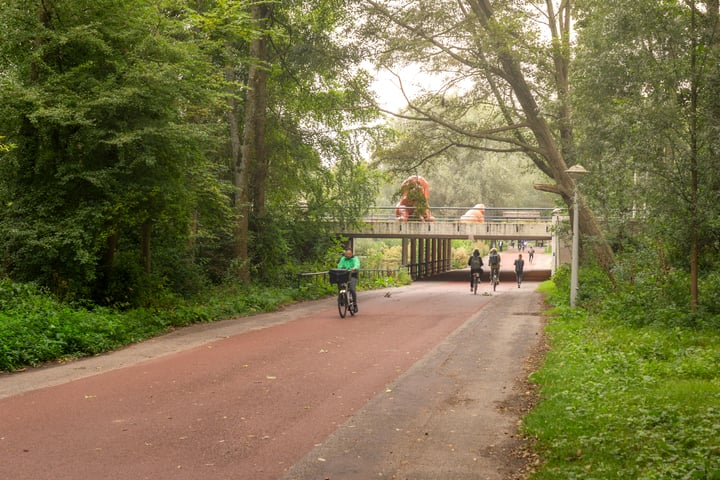 Bekijk foto 31 van Hoofdweg 142-3