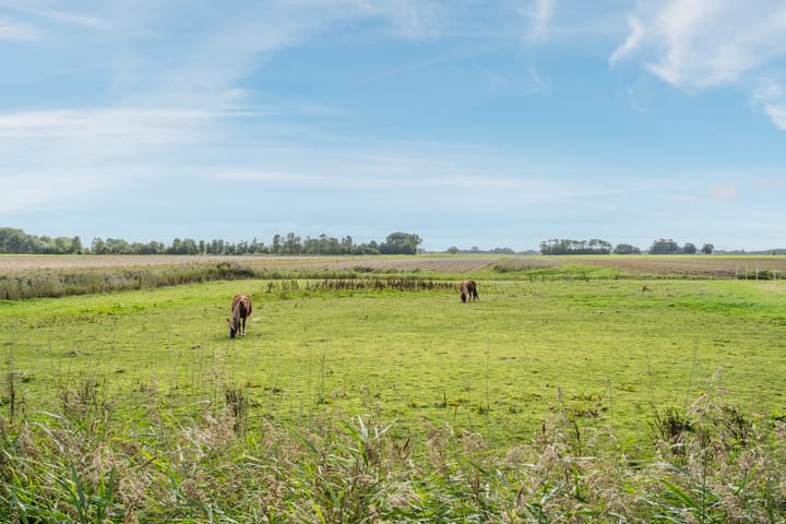 Foto 6 van Hearewei 25