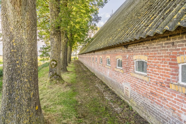 Foto 61 van Hearewei 25