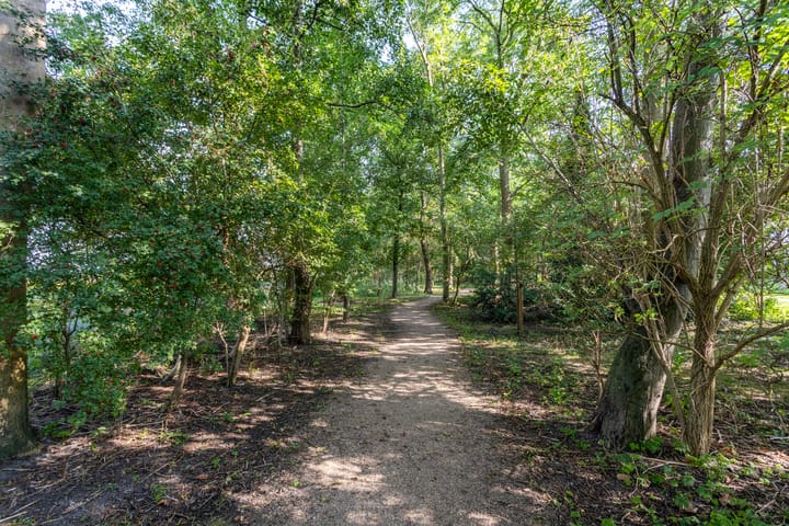 Foto 27 van Angelenhorst 6