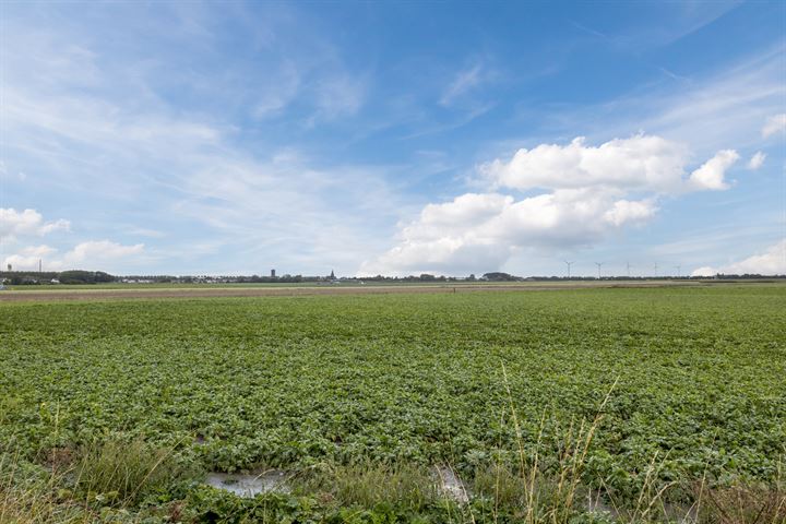 View photo 54 of Gastelsedijk West 154