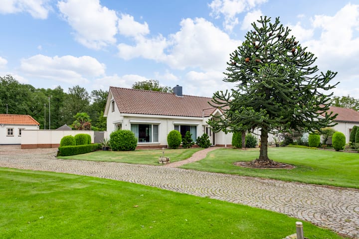 Foto 42 van Lochtstraat 16