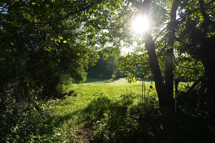 Bekijk foto 30 van Moorveldsberg 91