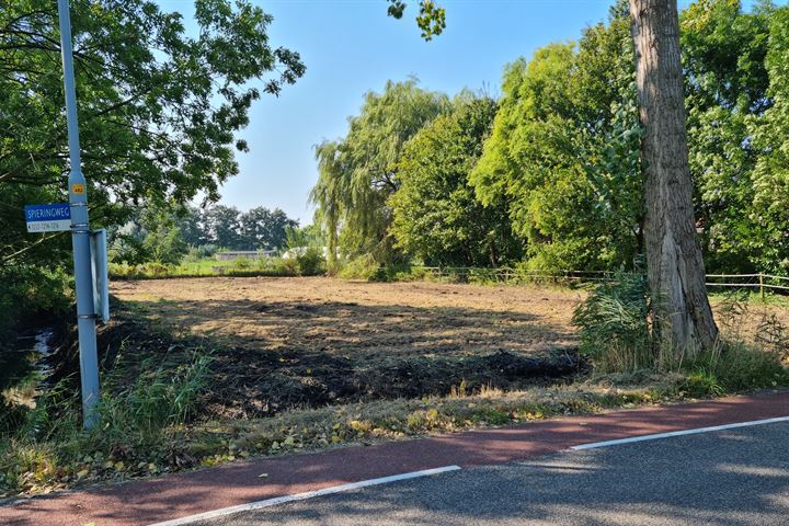 Bekijk foto 3 van Spieringweg 1220