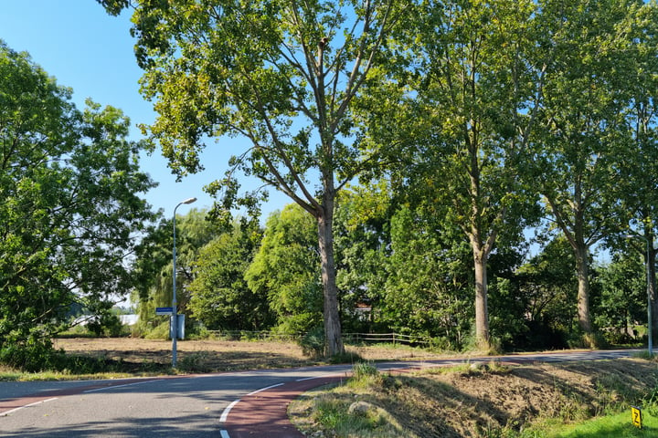 Bekijk foto 10 van Spieringweg 1220