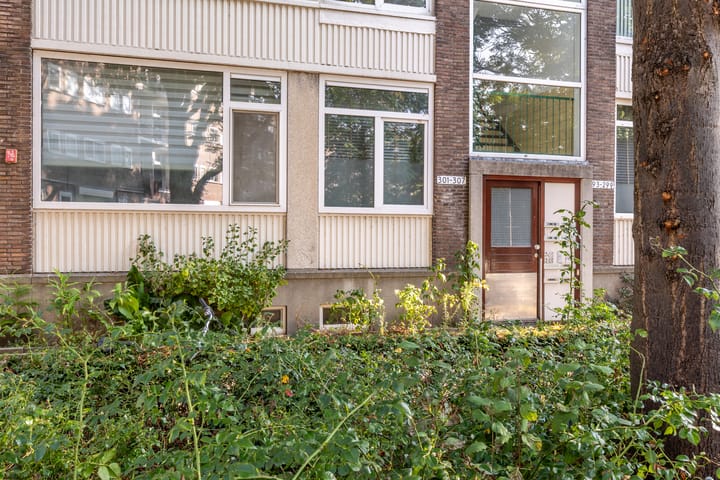 Foto 25 van Weteringstraat 303