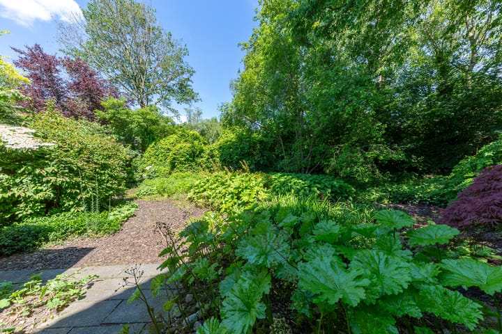 Foto 42 van Stavorenstraat 11