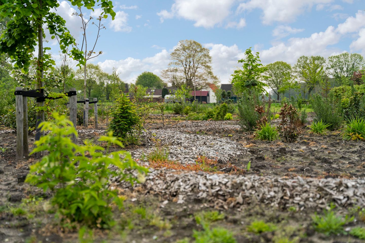 Foto 34 van De Louwstraat 25-B