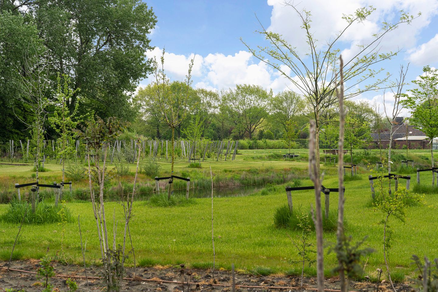 Foto 35 van De Louwstraat 25-B