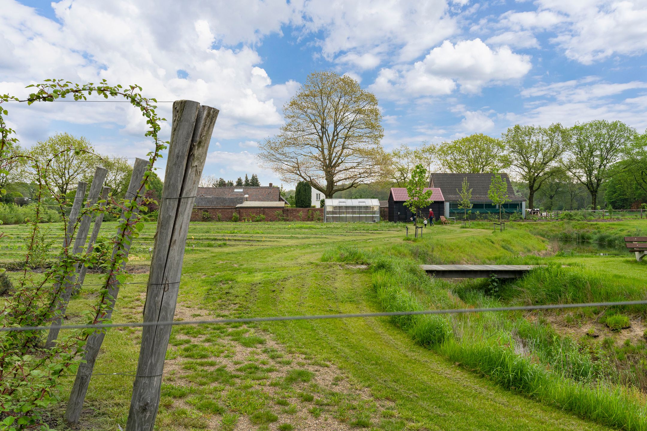 Foto 39 van De Louwstraat 25-B