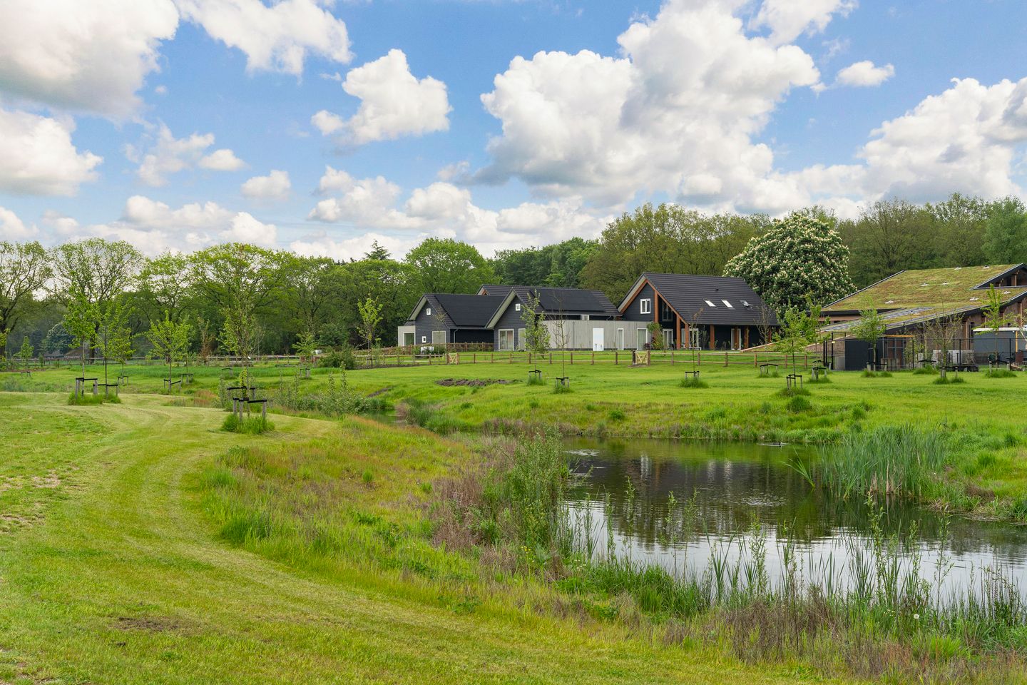 Foto 40 van De Louwstraat 25-B