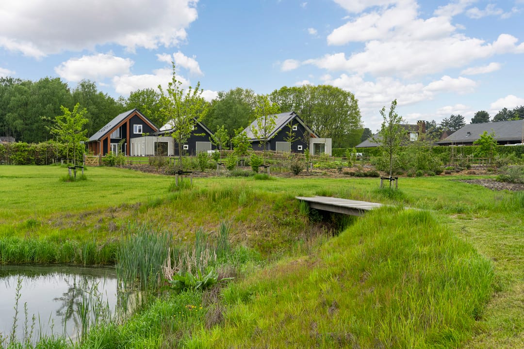 Foto 41 van De Louwstraat 25-B