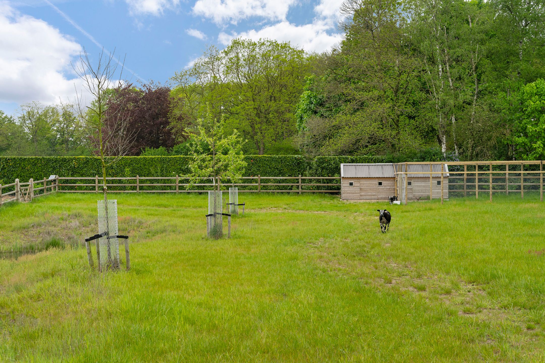 Foto 42 van De Louwstraat 25-B