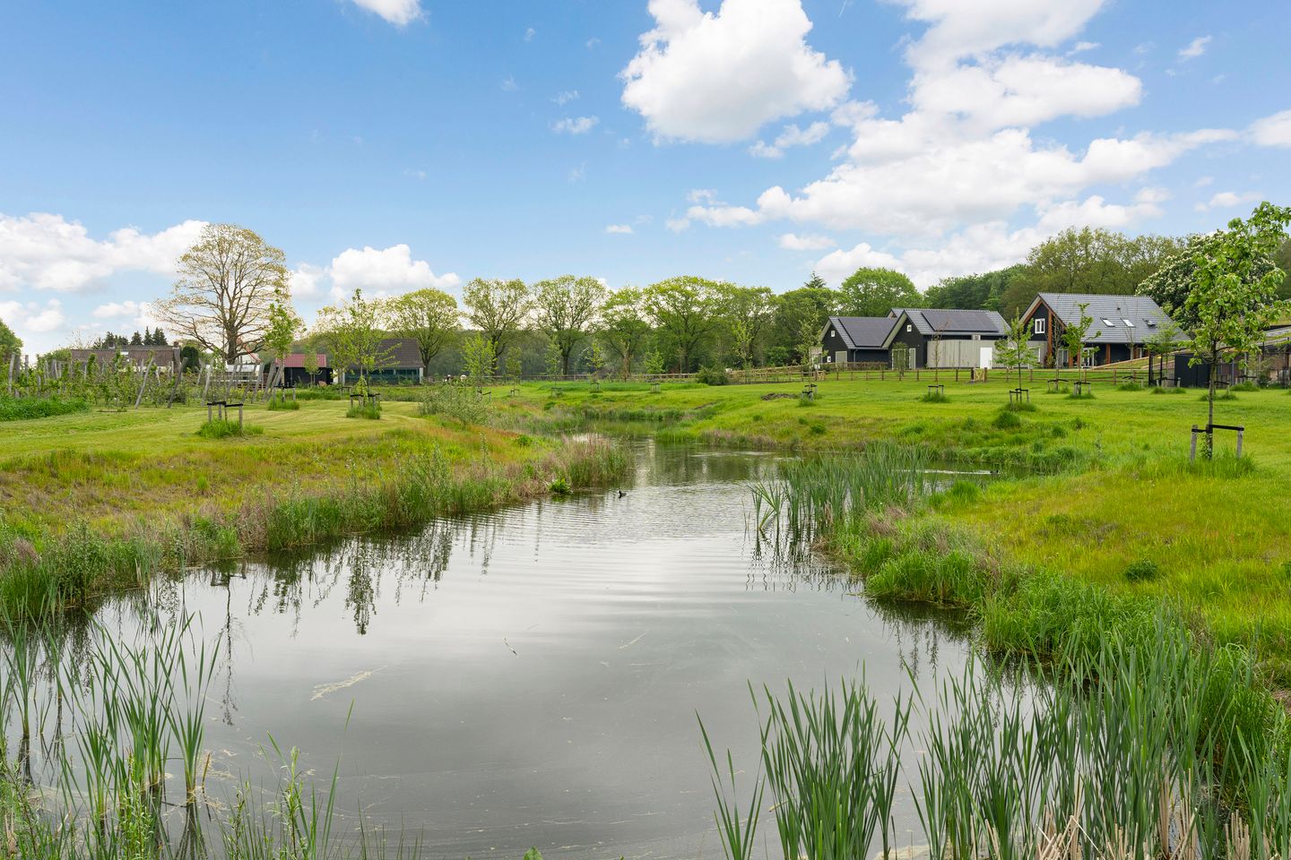 Foto 44 van De Louwstraat 25-B