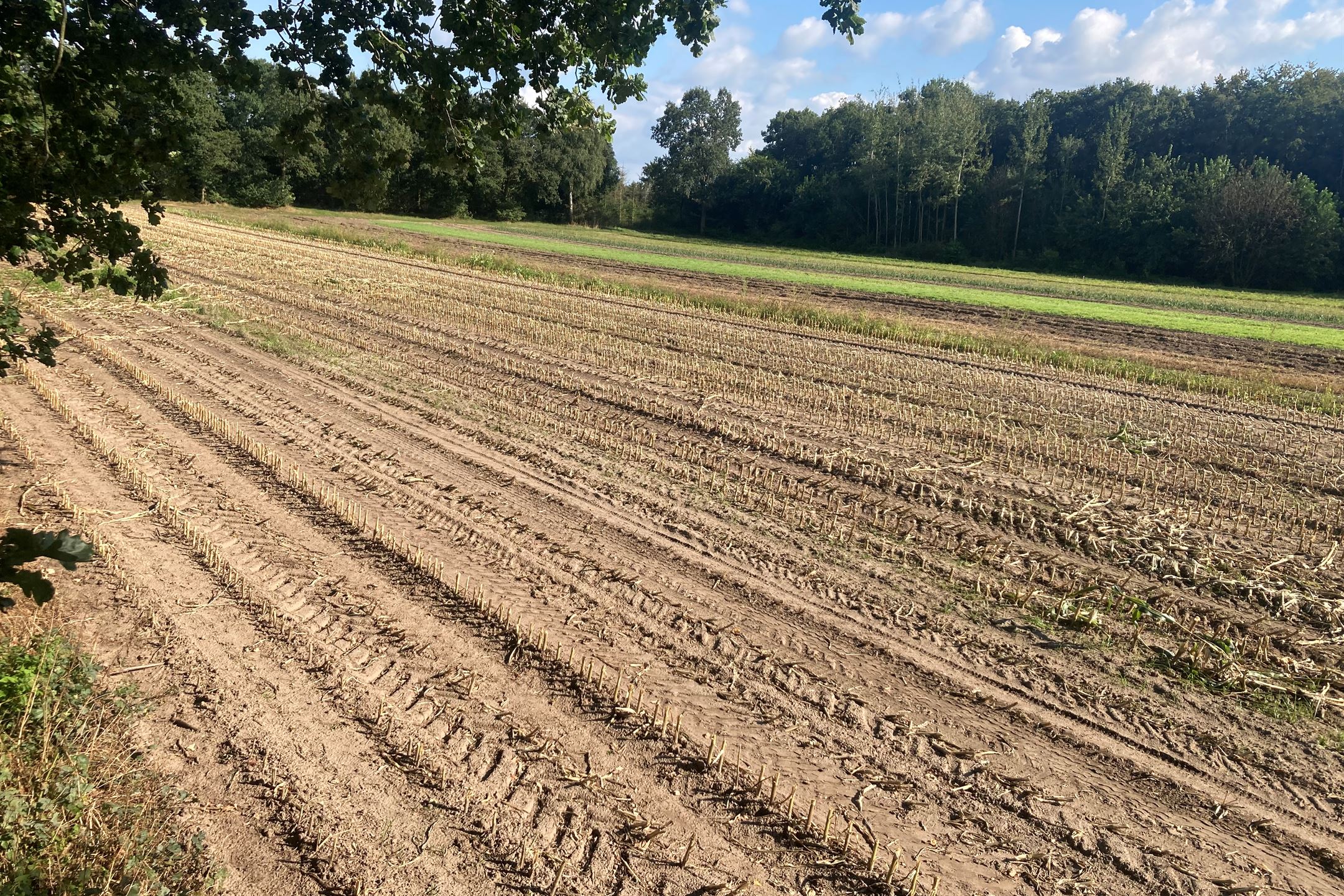 Agrarische Grond Oirlo Zoek Agrarische Grond Te Koop Limietweg Bn Oirlo Funda In Business