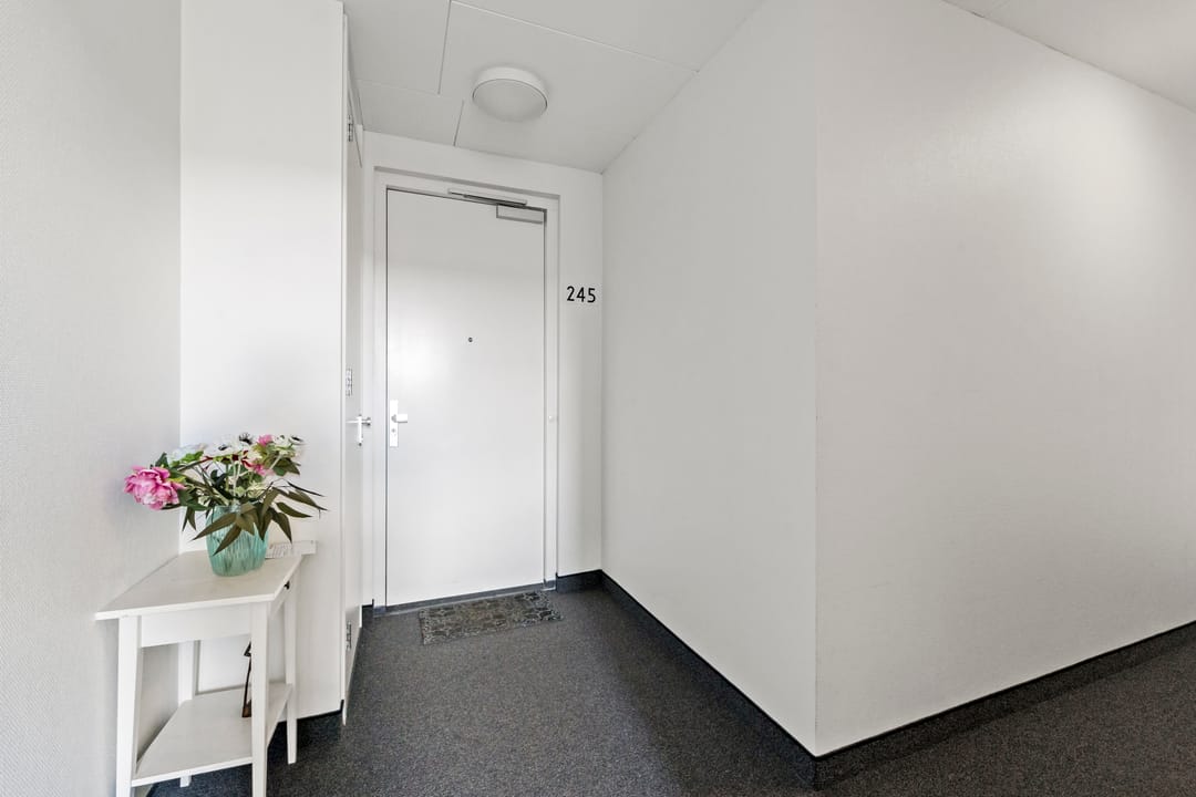 Foto 8 van Laan van Leidschenveen 245