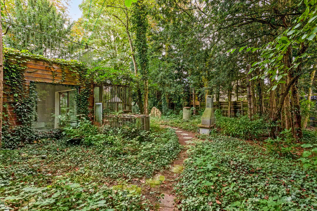 Photo 52 of De Hazelaar 12