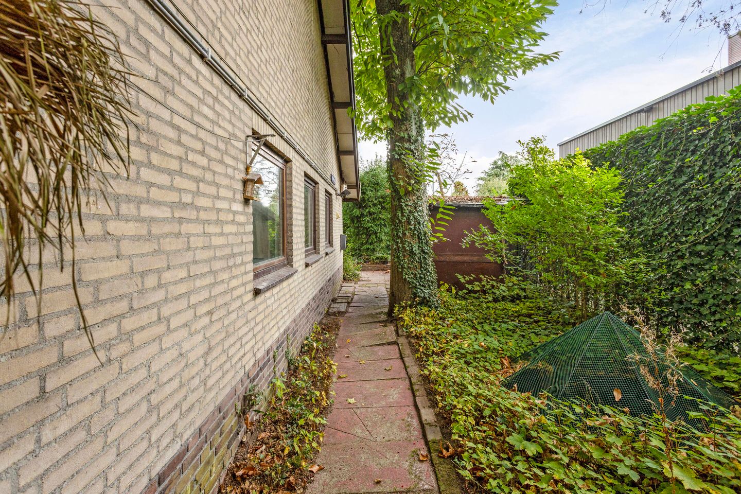 Photo 59 of De Hazelaar 12