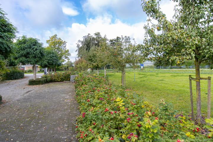 Foto 84 van Jacob Ekelmansstraat 31