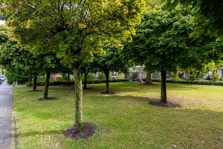 Foto 28 van Professor Rutgersstraat 41