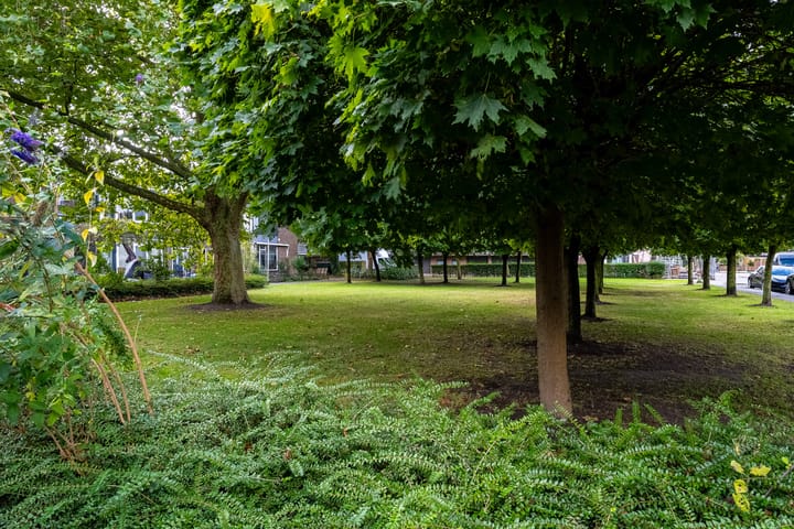 Foto 29 van Professor Rutgersstraat 41