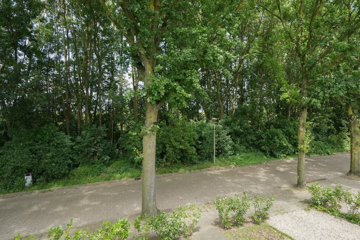 View photo 34 of Wethouder Arntzstraat 40