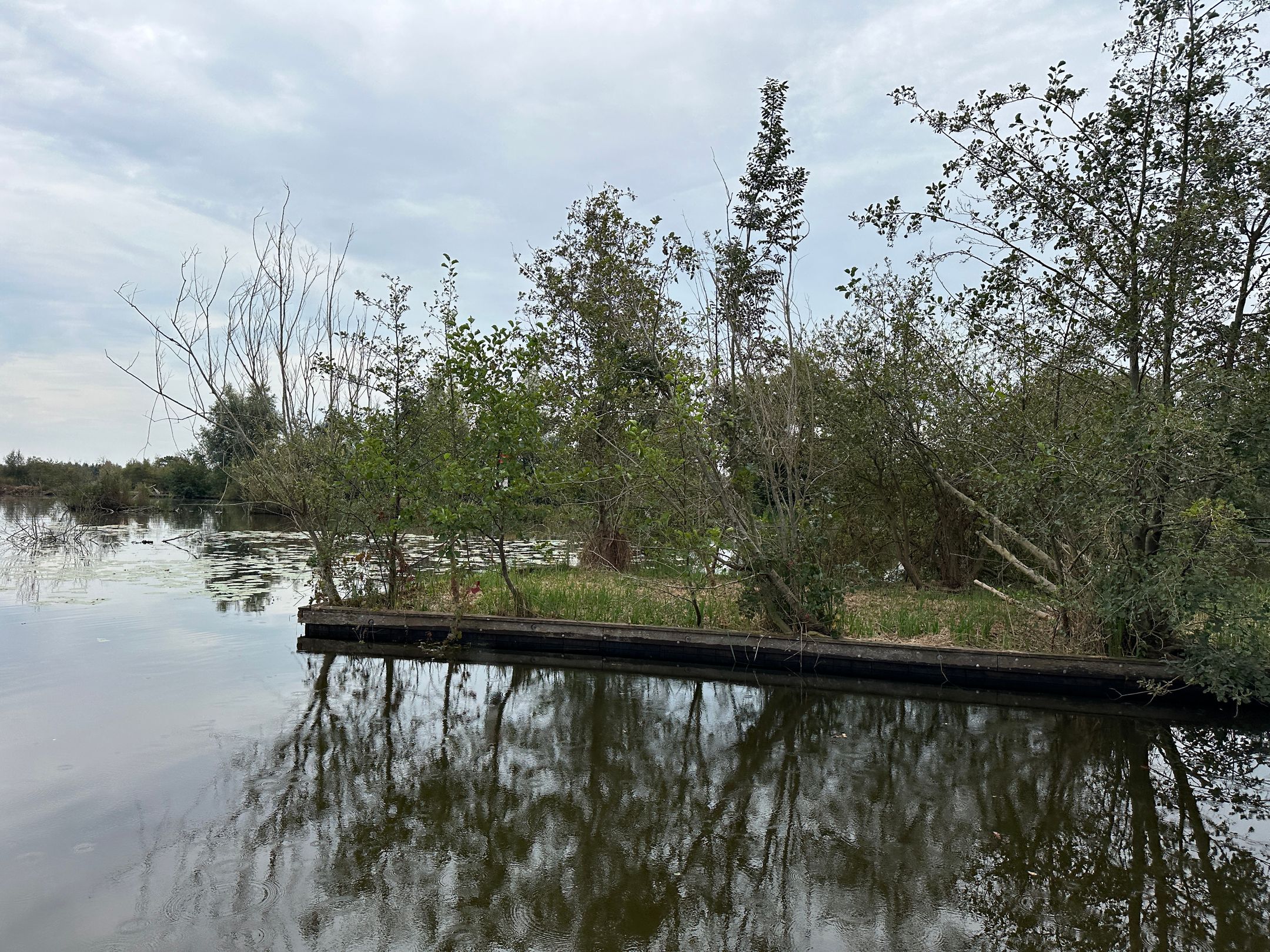 Photo 3 of Eiland Zuidelijke Kievitsbuurt