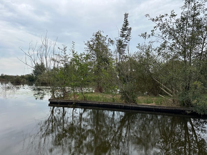 Foto 3 van Eiland Zuidelijke Kievitsbuurt