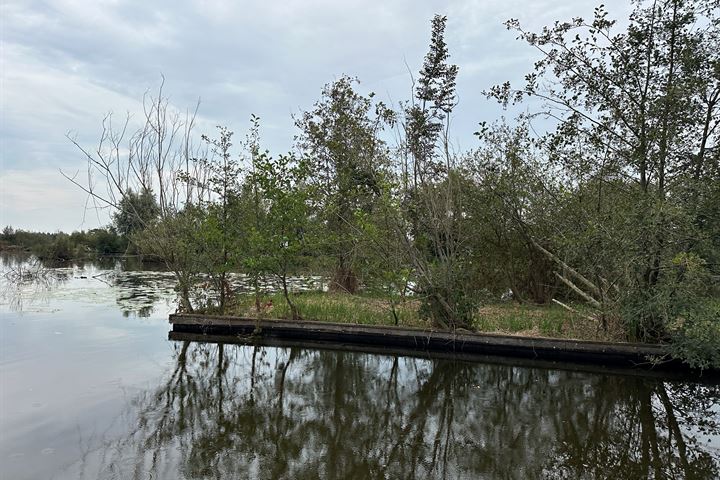 Bekijk foto 3 van Eiland Zuidelijke Kievitsbuurt