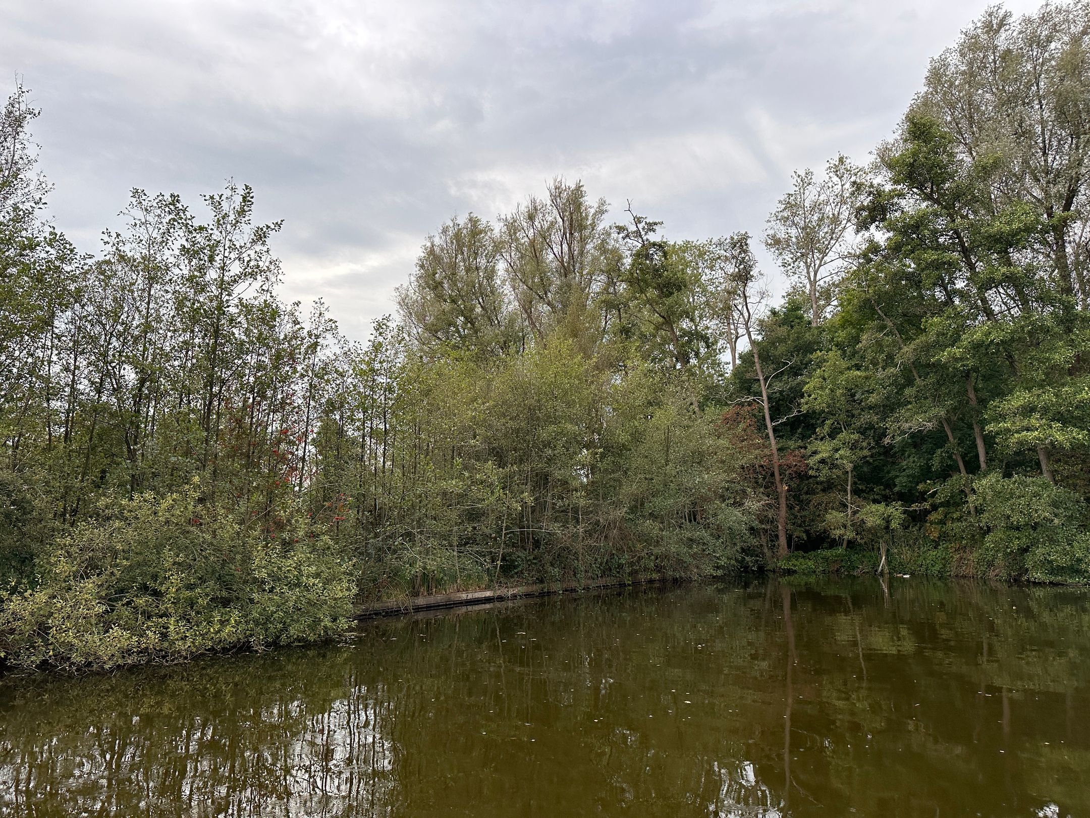 Photo 6 of Eiland Zuidelijke Kievitsbuurt