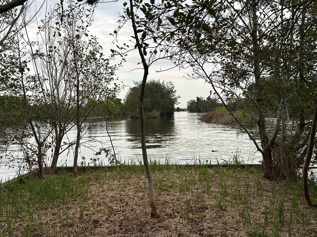 Photo 7 of Eiland Zuidelijke Kievitsbuurt