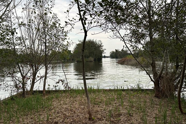 Bekijk foto 7 van Eiland Zuidelijke Kievitsbuurt