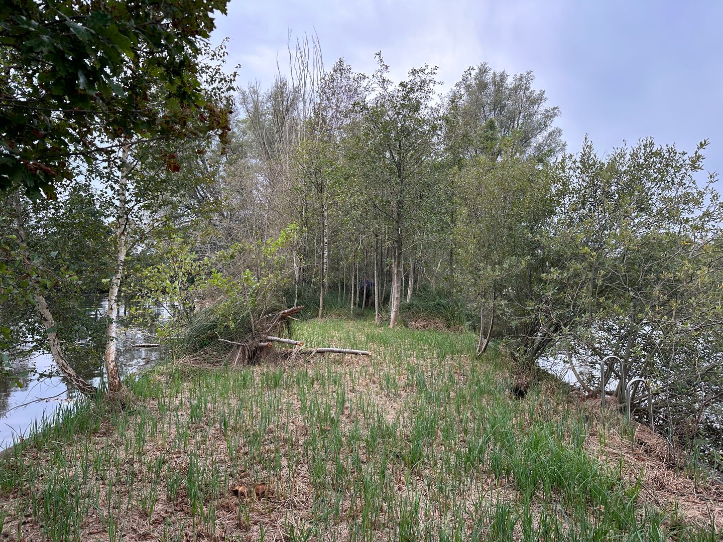 Photo 10 of Eiland Zuidelijke Kievitsbuurt