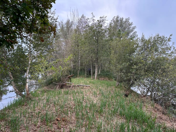 Foto 10 van Eiland Zuidelijke Kievitsbuurt