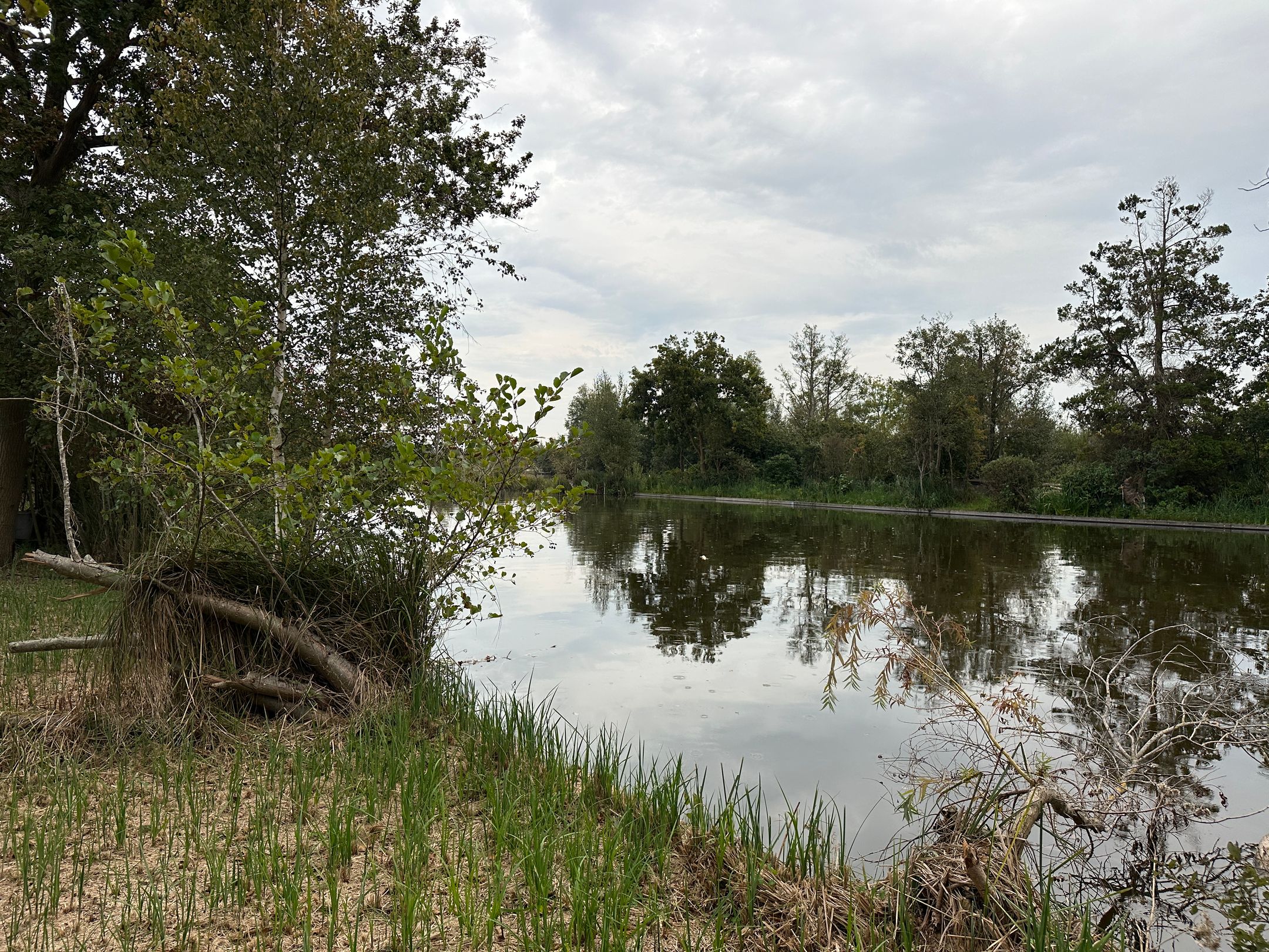 Photo 12 of Eiland Zuidelijke Kievitsbuurt