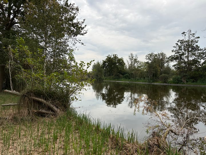 Foto 12 van Eiland Zuidelijke Kievitsbuurt