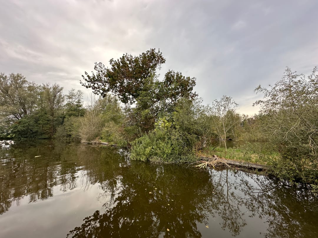 Photo 13 of Eiland Zuidelijke Kievitsbuurt