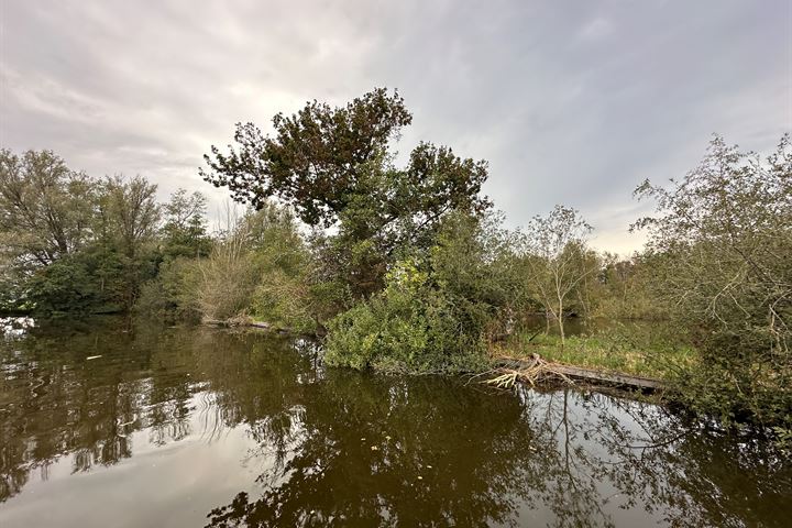 Bekijk foto 13 van Eiland Zuidelijke Kievitsbuurt