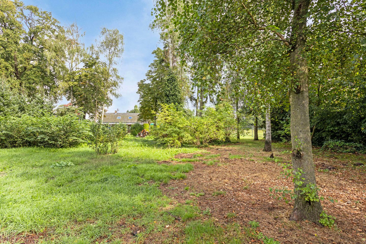 Photo 40 of Bosschebaan 2