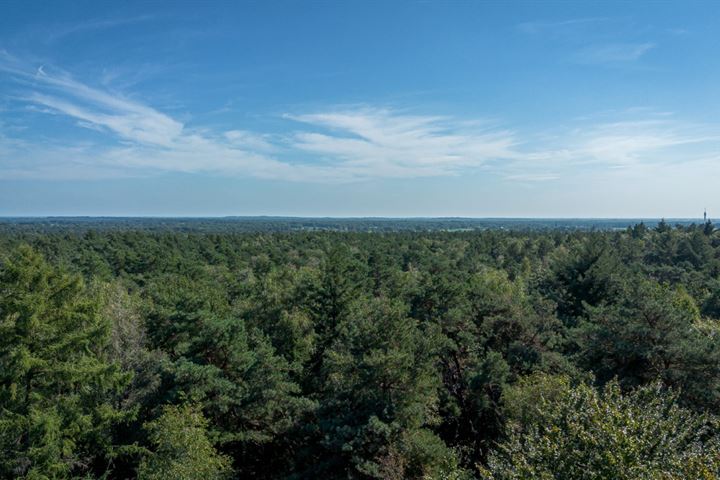 Bekijk foto 28 van Oude Hellendoornseweg 14