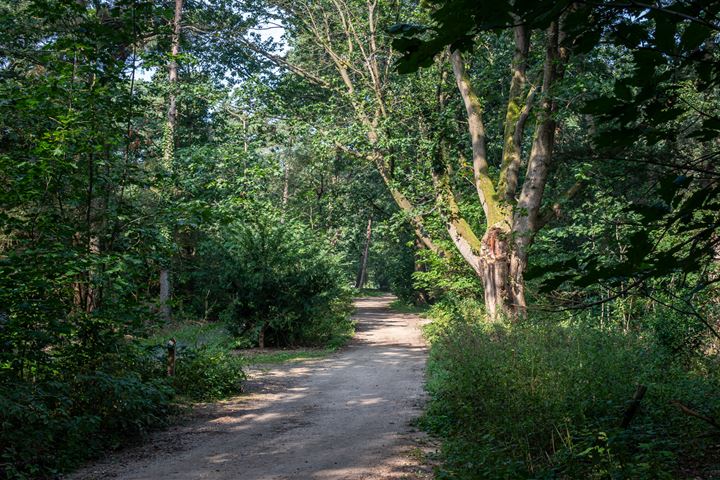 Bekijk foto 30 van Oude Hellendoornseweg 14