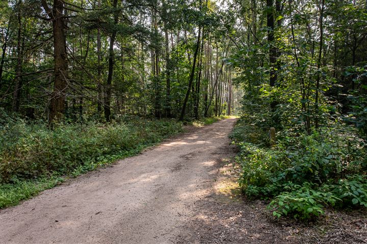 Bekijk foto 35 van Oude Hellendoornseweg 14