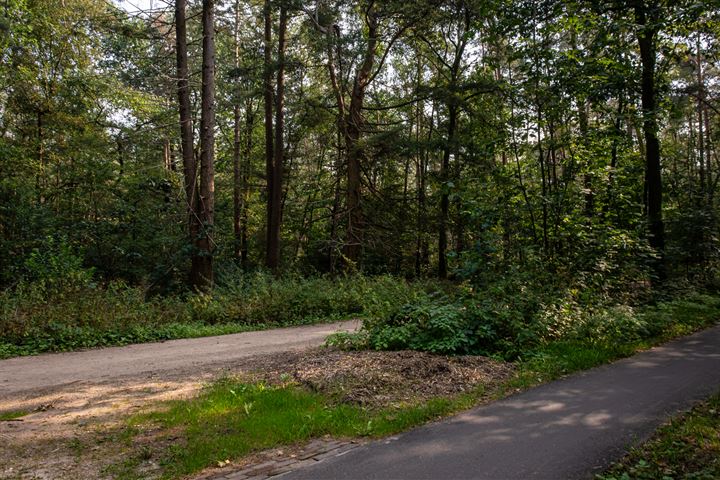 Bekijk foto 36 van Oude Hellendoornseweg 14