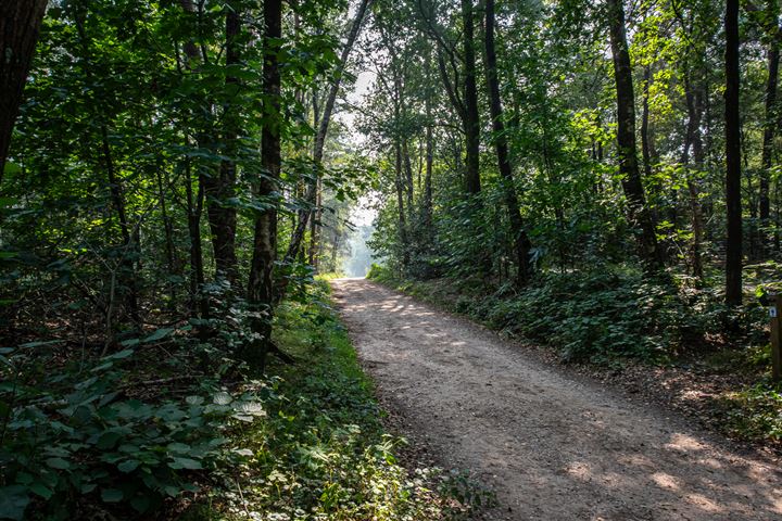 Bekijk foto 37 van Oude Hellendoornseweg 14