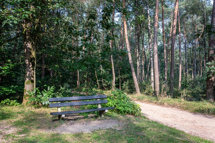 Bekijk foto 38 van Oude Hellendoornseweg 14