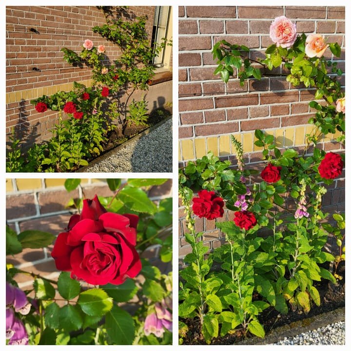 Foto 30 van Kerkstraat 3